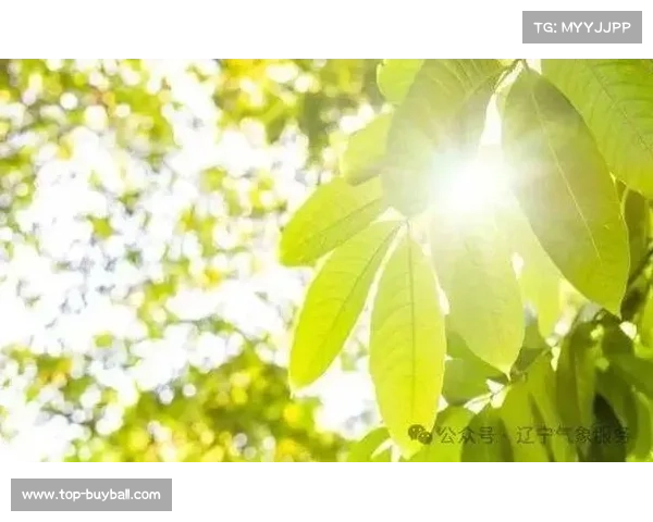 高温预警下观众看台增设500台雾化降温设备确保舒适观赛体验 高温预警下观众看台增设500台雾化降温设备确保舒适观赛体验